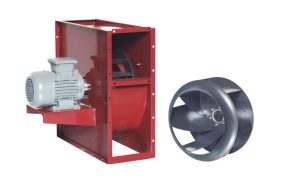 salyangoz-kare-tip-plug-fanli-1